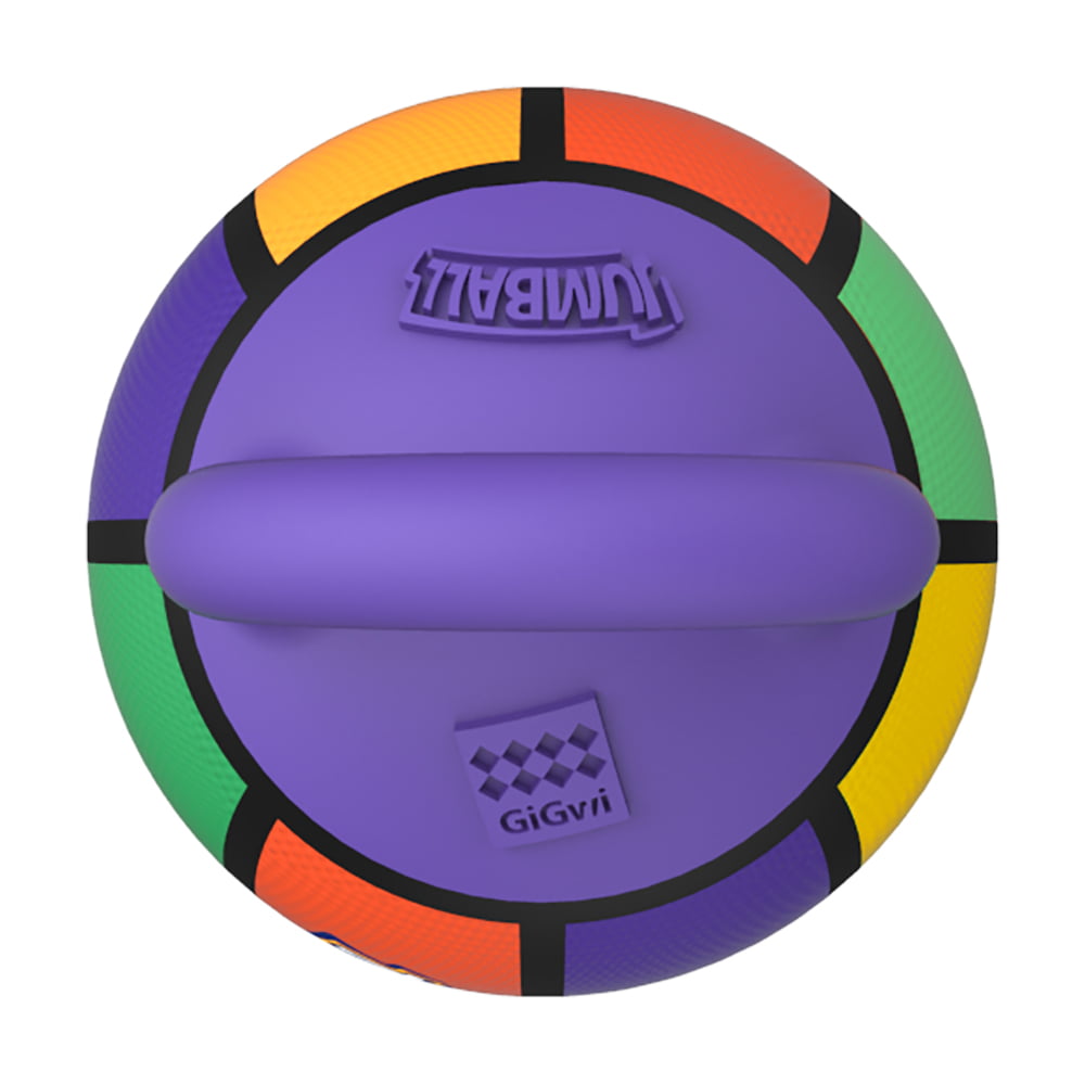 Gigwi Jumball Pelota De Basketball Con Asa Tricolor Foopy Pet Store