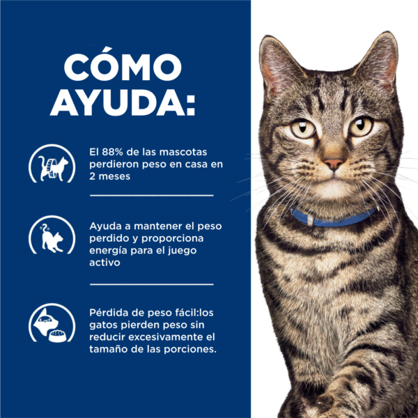 Hills Prescription Diet Feline Metabolic (Estofado) 156 g