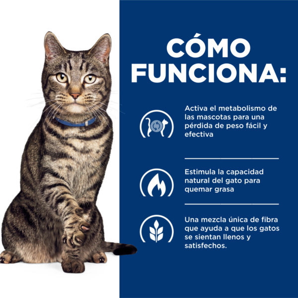 Hills Prescription Diet Feline Metabolic (Estofado) 156 g