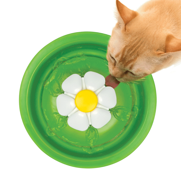 Catit-Fuente-de-Agua