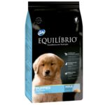 Equilibrio Puppies Large Breeds