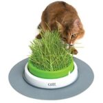 Cat It Senses 2.0 Grass Planter