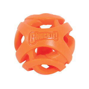 Breathe-Right-Fetch-Ball