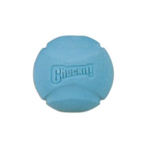 Fetch-Ball