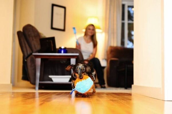 Indoor shaker