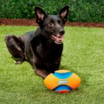 Fumble_Fetch