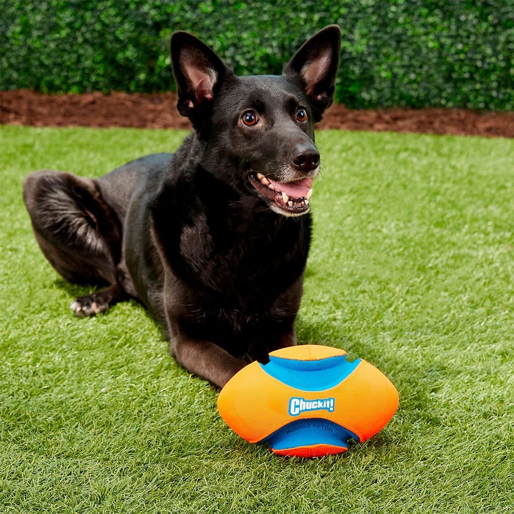 Chuckit fumble fetch sale