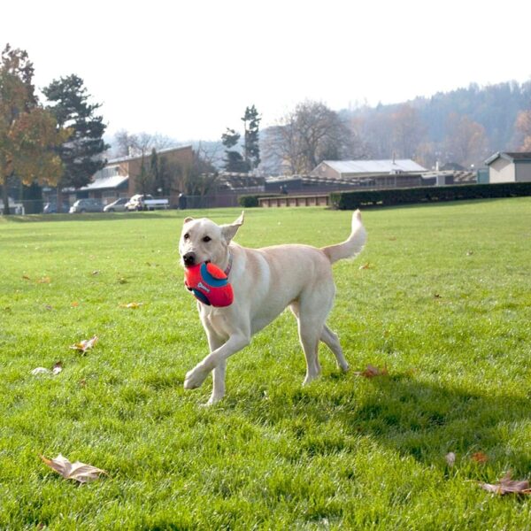 Fumble_Fetch