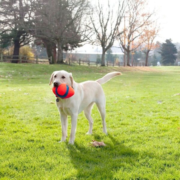 Fumble_Fetch