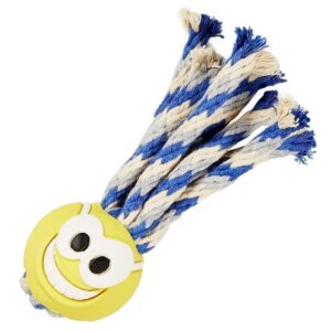 Fanatic-Ball
