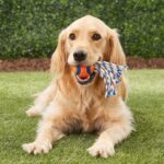 Ultra-Toss-Ball