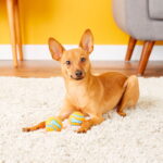 Tennis-Ball-2