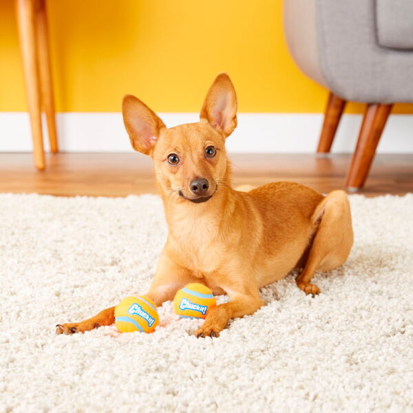 Tennis-Ball-2