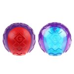 Ball-Squeaker-Solid-2-pack