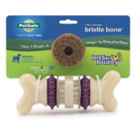 Bristle-Bone-M