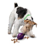 Busy-Buddy-Twist-'n-Treat