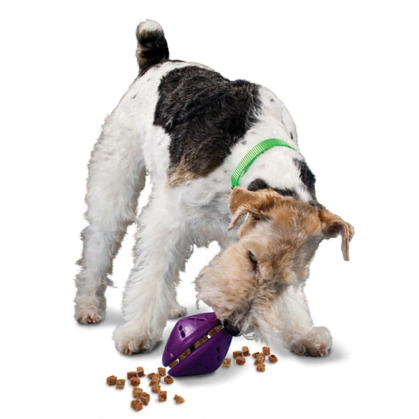 Busy-Buddy-Twist-'n-Treat