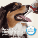 Beaphar Gel Dental Sin Cepillado