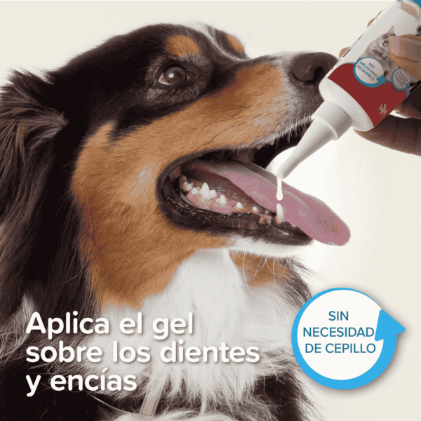 Beaphar Gel Dental Sin Cepillado