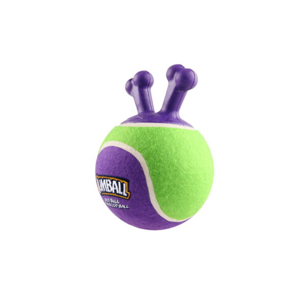 Jumball-Tennis-Ball