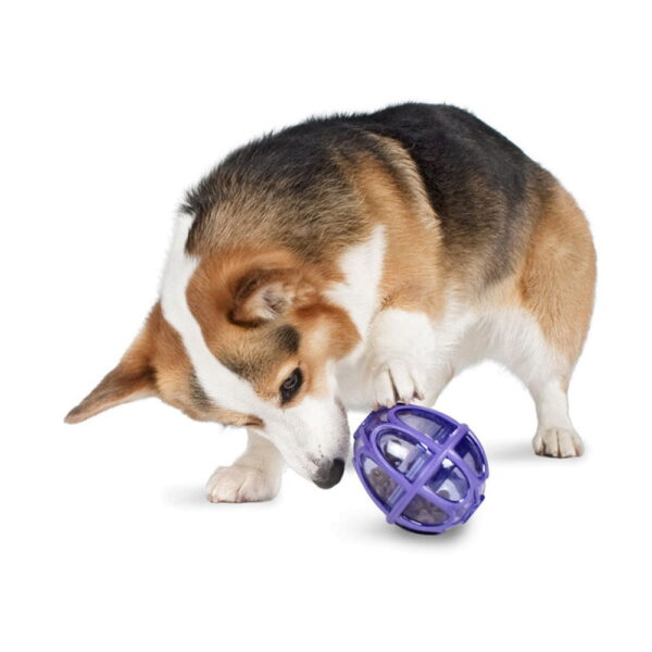 Kibble-Nibble-S
