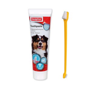 Pasta-Dental