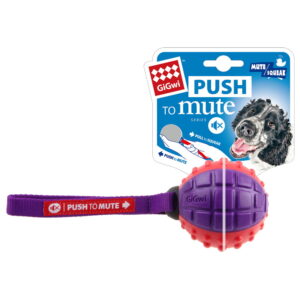 Push-to-Mute