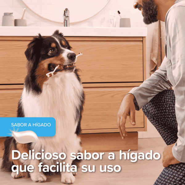 Beaphar Gel Dental Sin Cepillado
