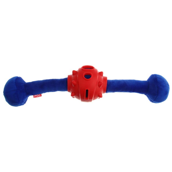 Blue-Gladiator