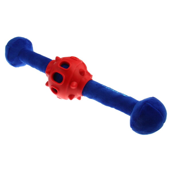 Blue-Gladiator