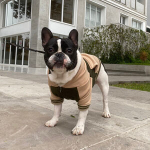 Casaca-Beige-Verde-Militar