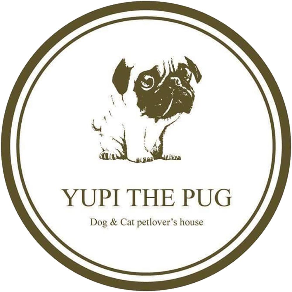 Yupi The Pug