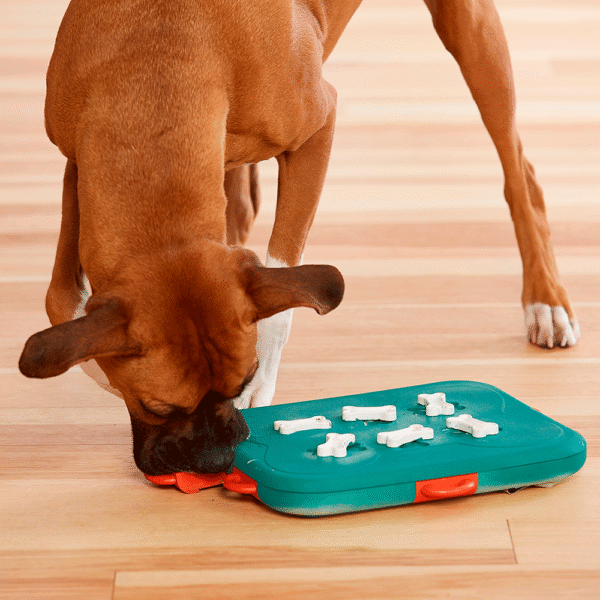 Nina-Ottoson-Dog-Casino