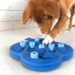 Nina-Ottoson-Dog-Hide-n-Slide