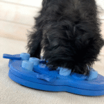 Nina-Ottoson-Dog-Hide-n-Slide