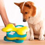 Nina-Ottoson-Dog-Tornado
