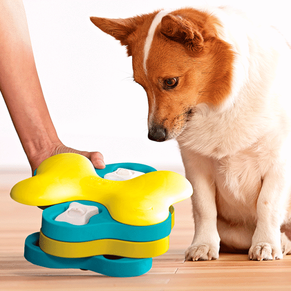 Nina-Ottoson-Dog-Tornado