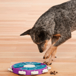 Nina-Ottoson-Dog-Twister