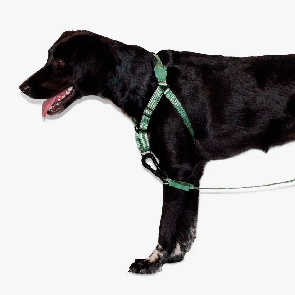 Zeedog Army Soft-Walk Harness | Foopy Pet Store