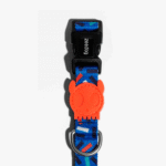 Zeedog Atlanta Dog Collar