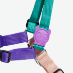 Zeedog Boogie Soft-Walk Harness