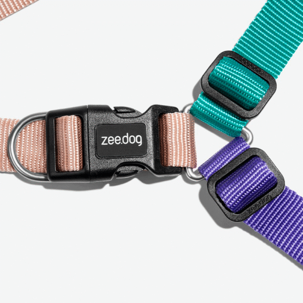 Zeedog Boogie Soft-Walk Harness