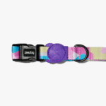 Zeedog Candy Dog Collar