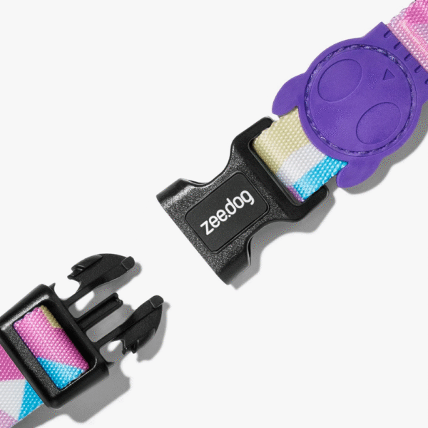 Zeedog Candy Dog Collar