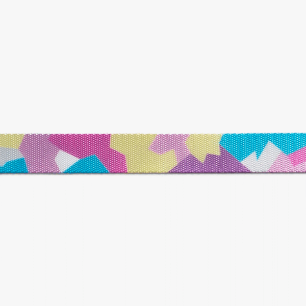 Zeedog Candy Dog Collar