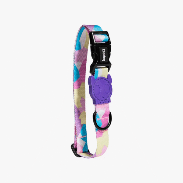 Zeedog Candy Dog Collar