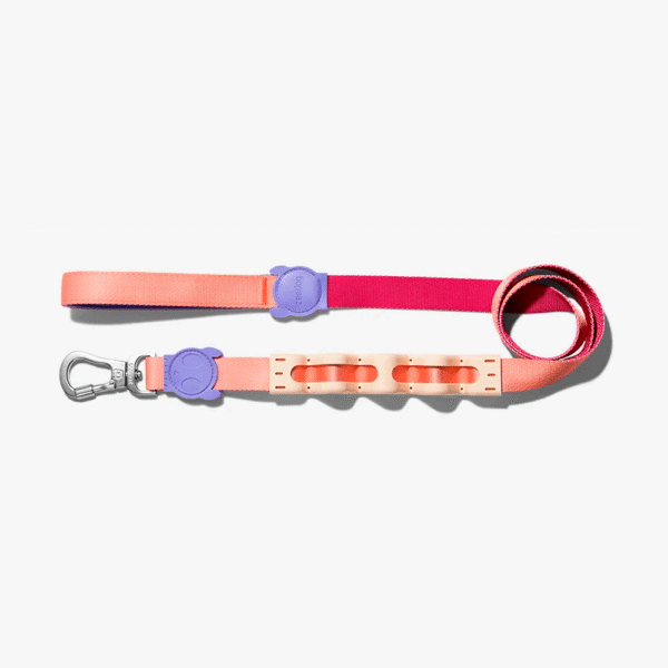 Zeedog Cinnamon Correa Ruff