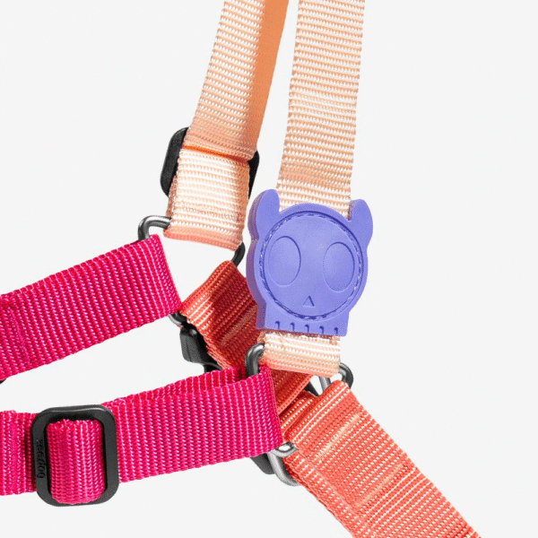 Zeedog Cinnamon Soft-Walk Harness