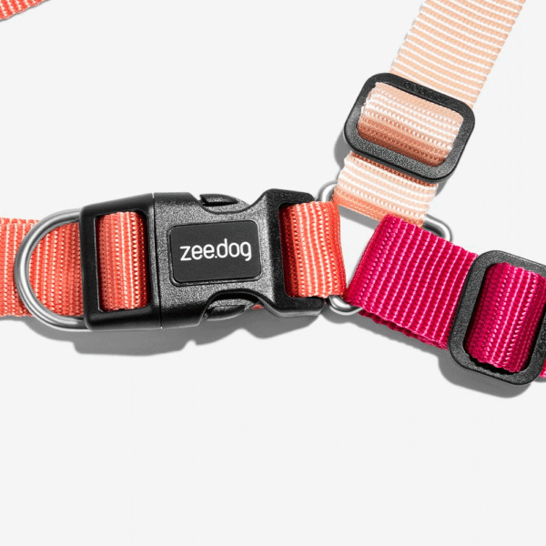 Zeedog Cinnamon Soft-Walk Harness