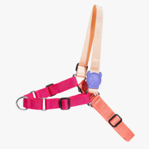 Zeedog Cinnamon Soft-Walk Harness